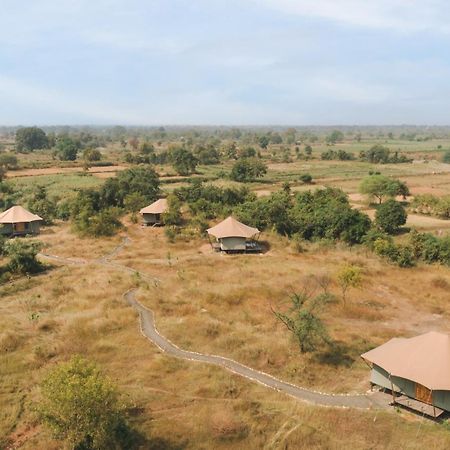 ホテル Trees N Tigers, Tadoba Kolāra エクステリア 写真